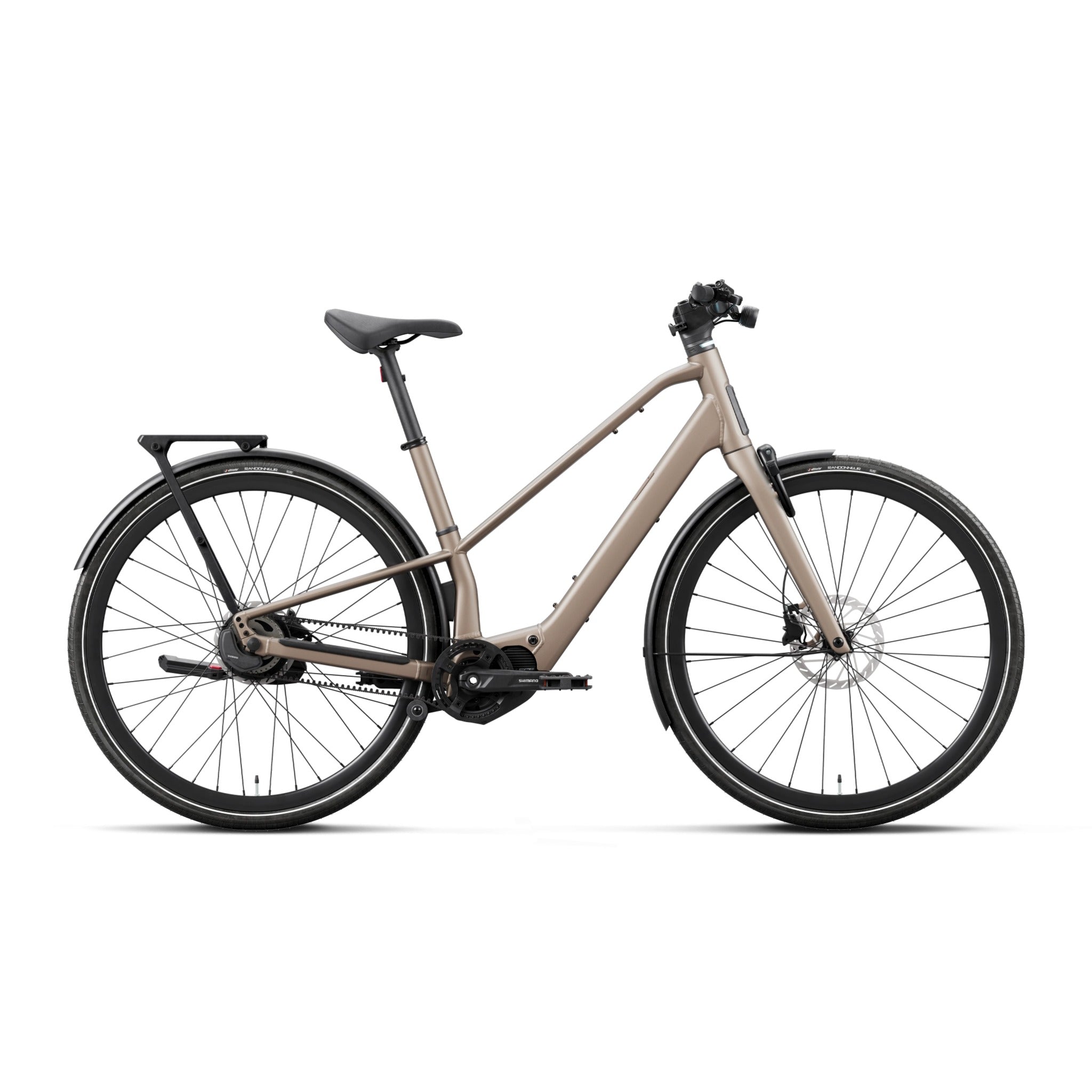 Carpe 10 2027 Nickel / S