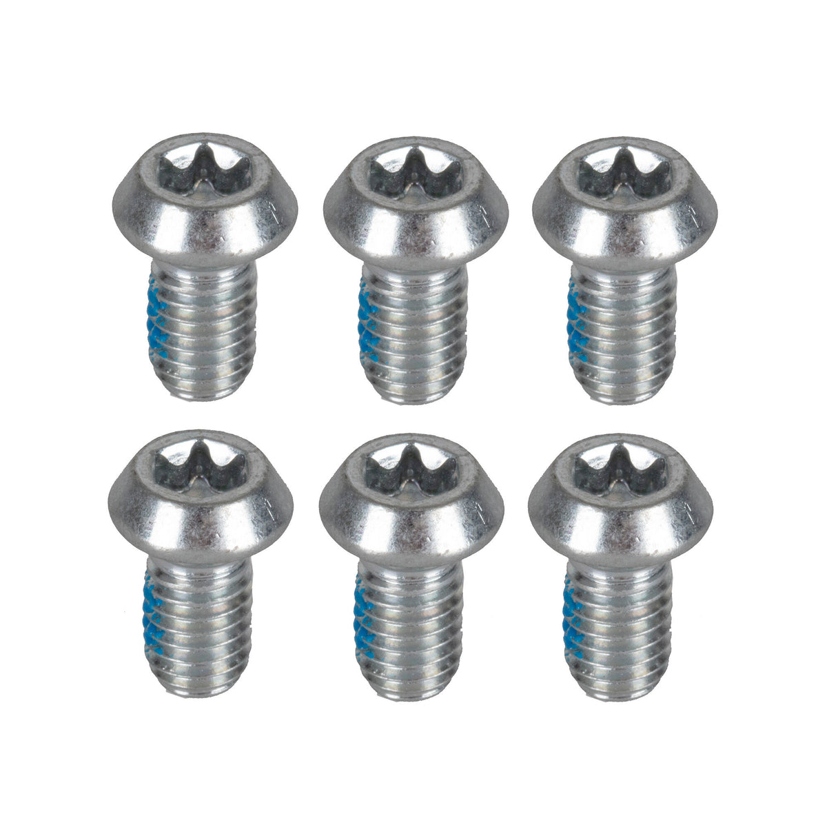 Disc Rotor Bolt Set Silver / One Size