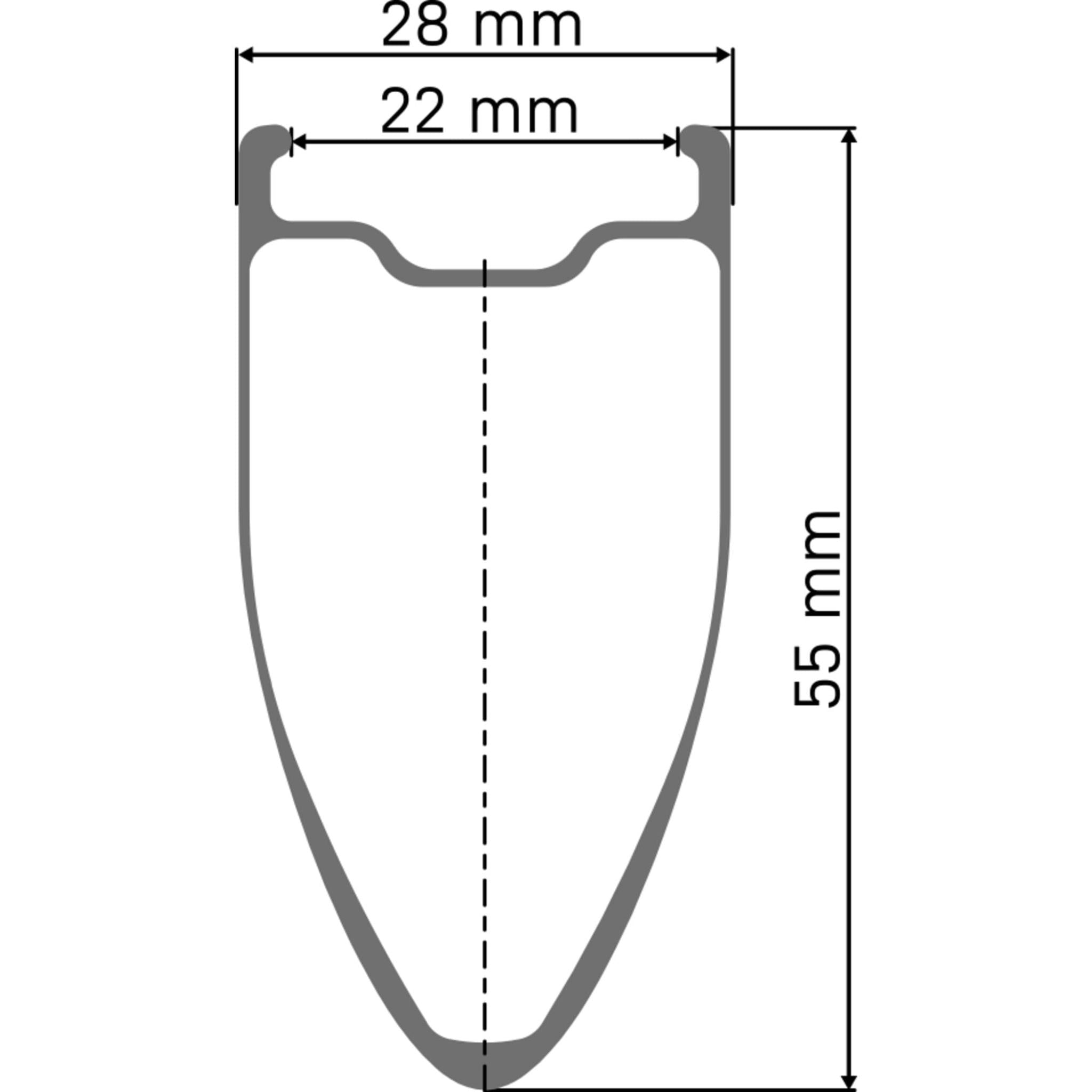 DT Swiss ARC 1100 DICUT DB WTS 55mm Front Wheel Black / 100 x 12mm
