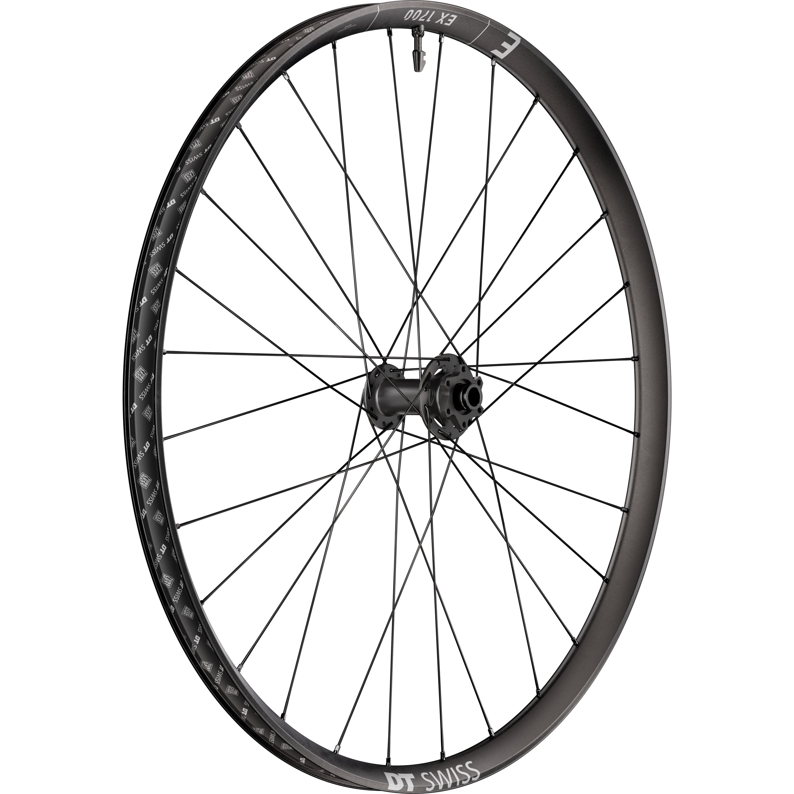 EX 1700 Classic Front Wheel Black / 29" / 110 x 15mm