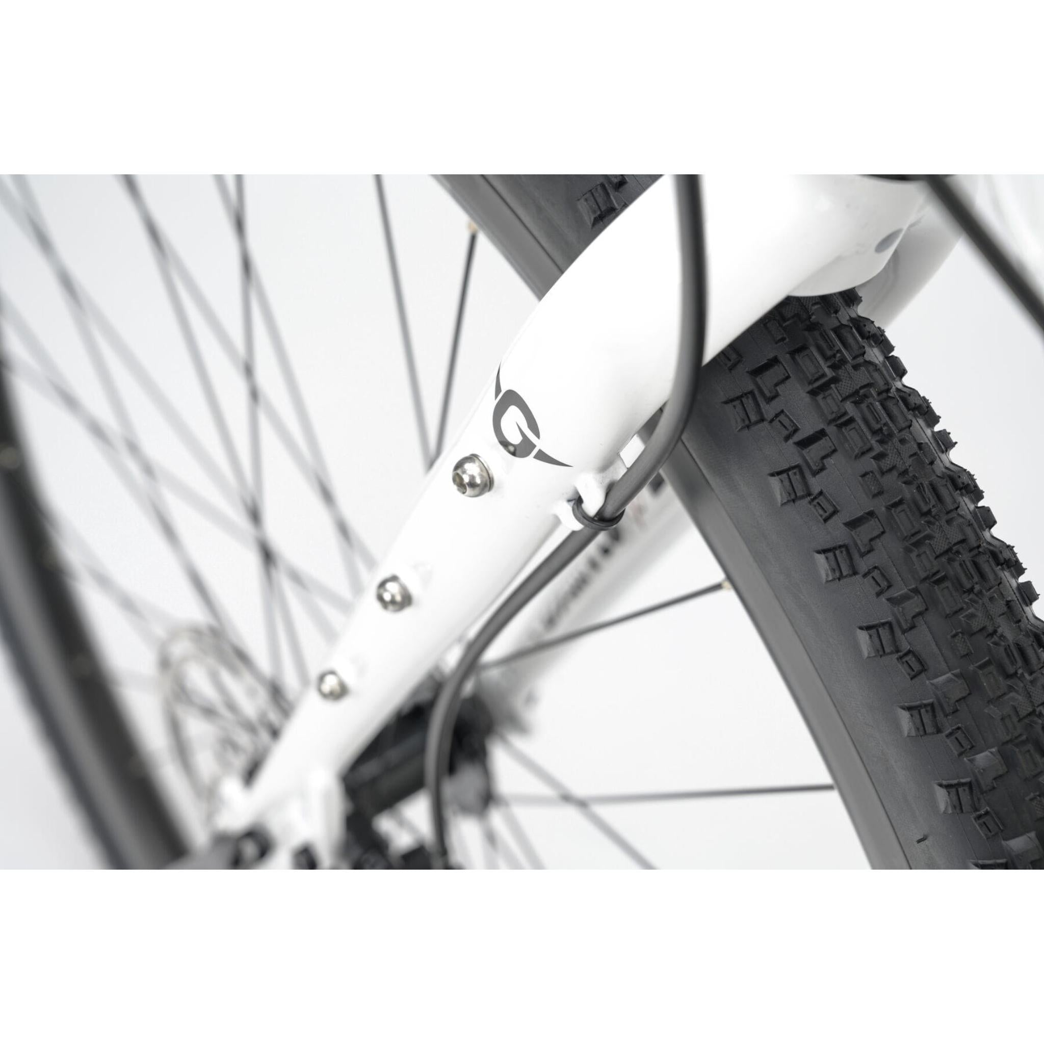 Genesis Croix De Fer 10 2025