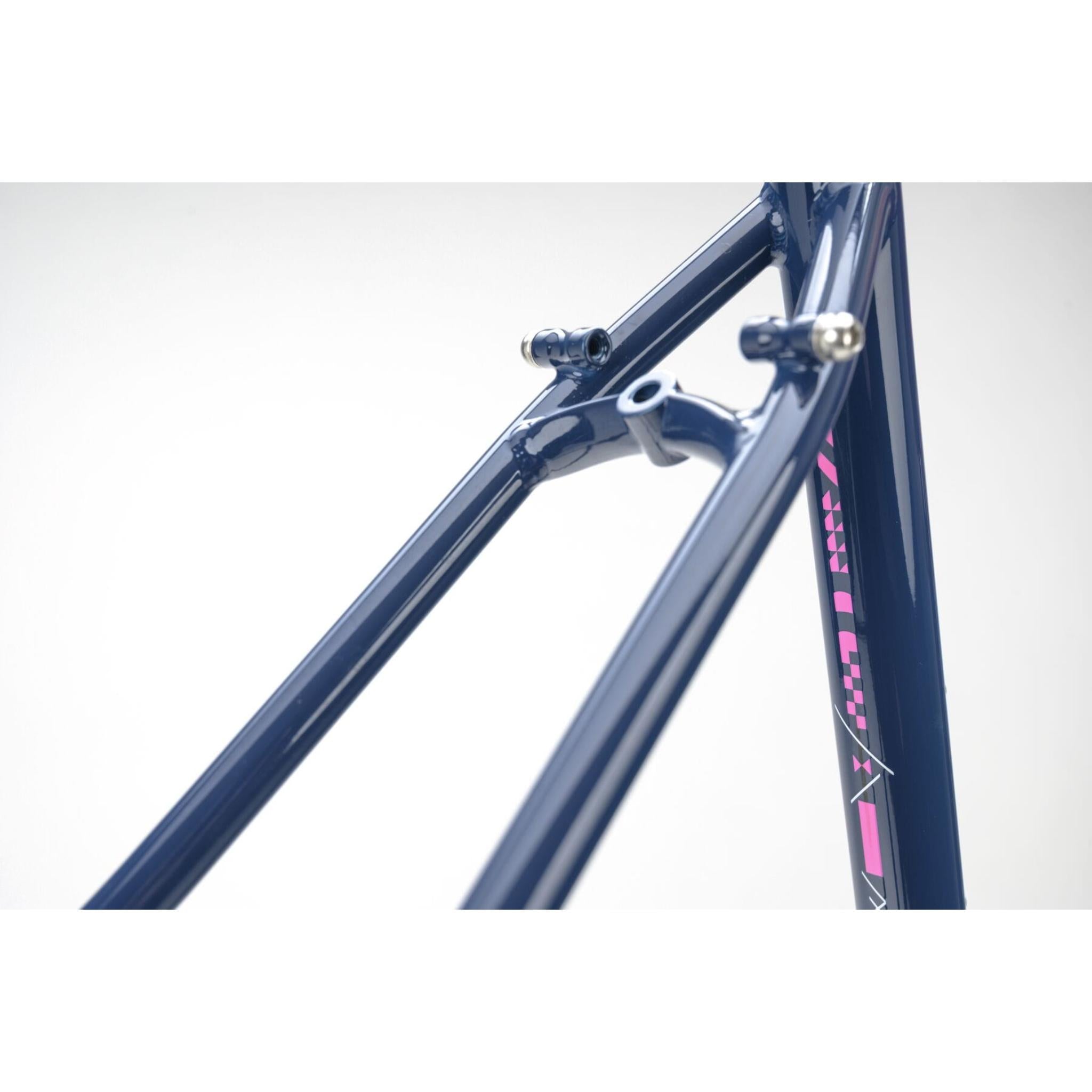 Genesis Croix De Fer 725 Frameset 2025