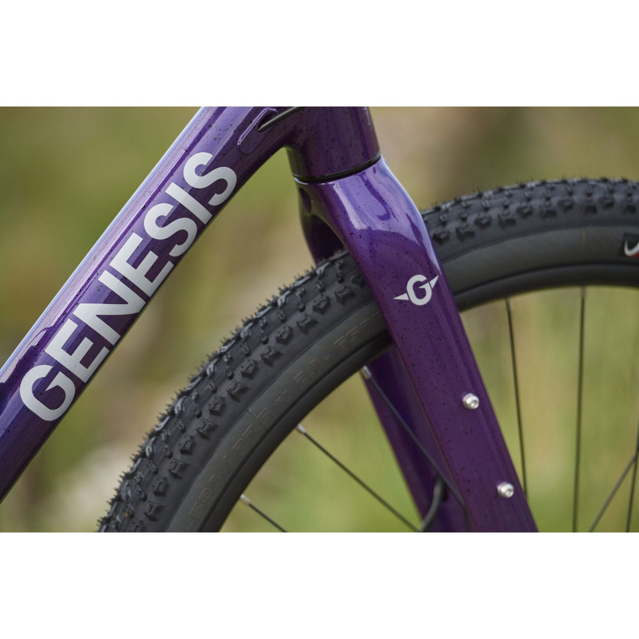 Genesis Fugio 10 2025