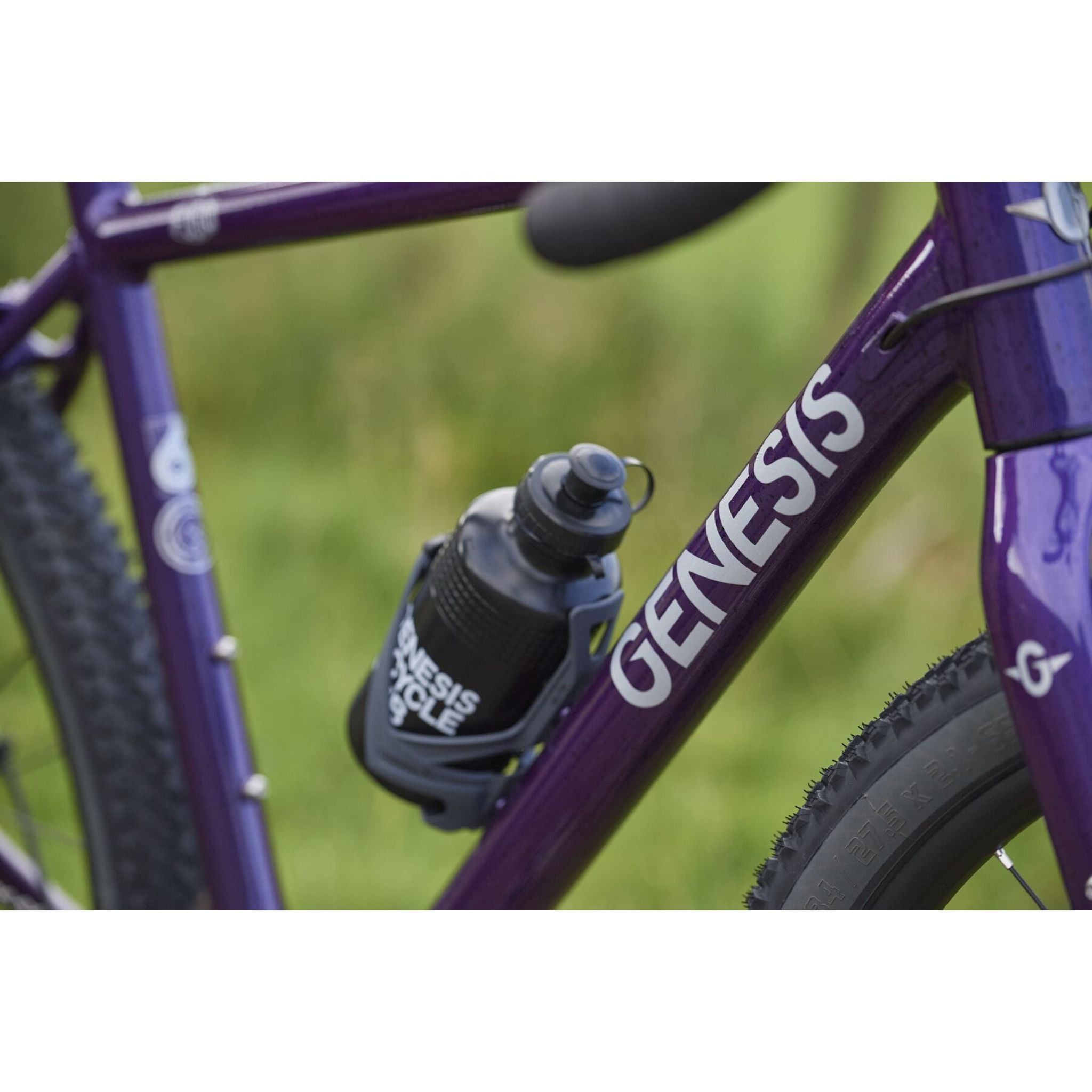 Genesis Fugio 10 2025