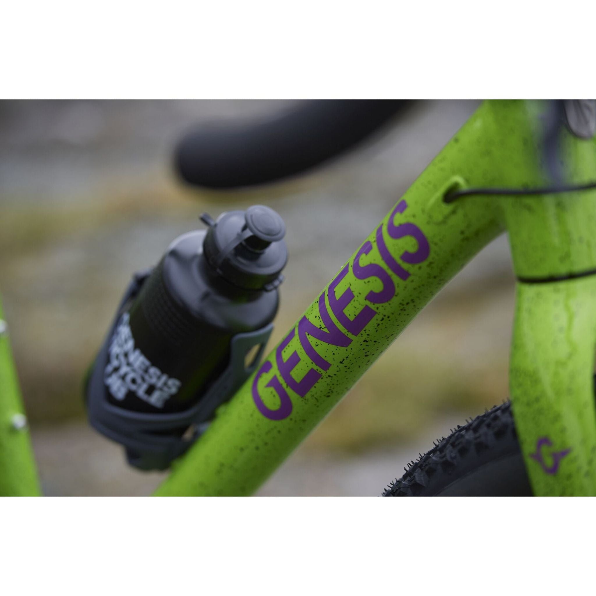 Genesis Fugio 20 2025