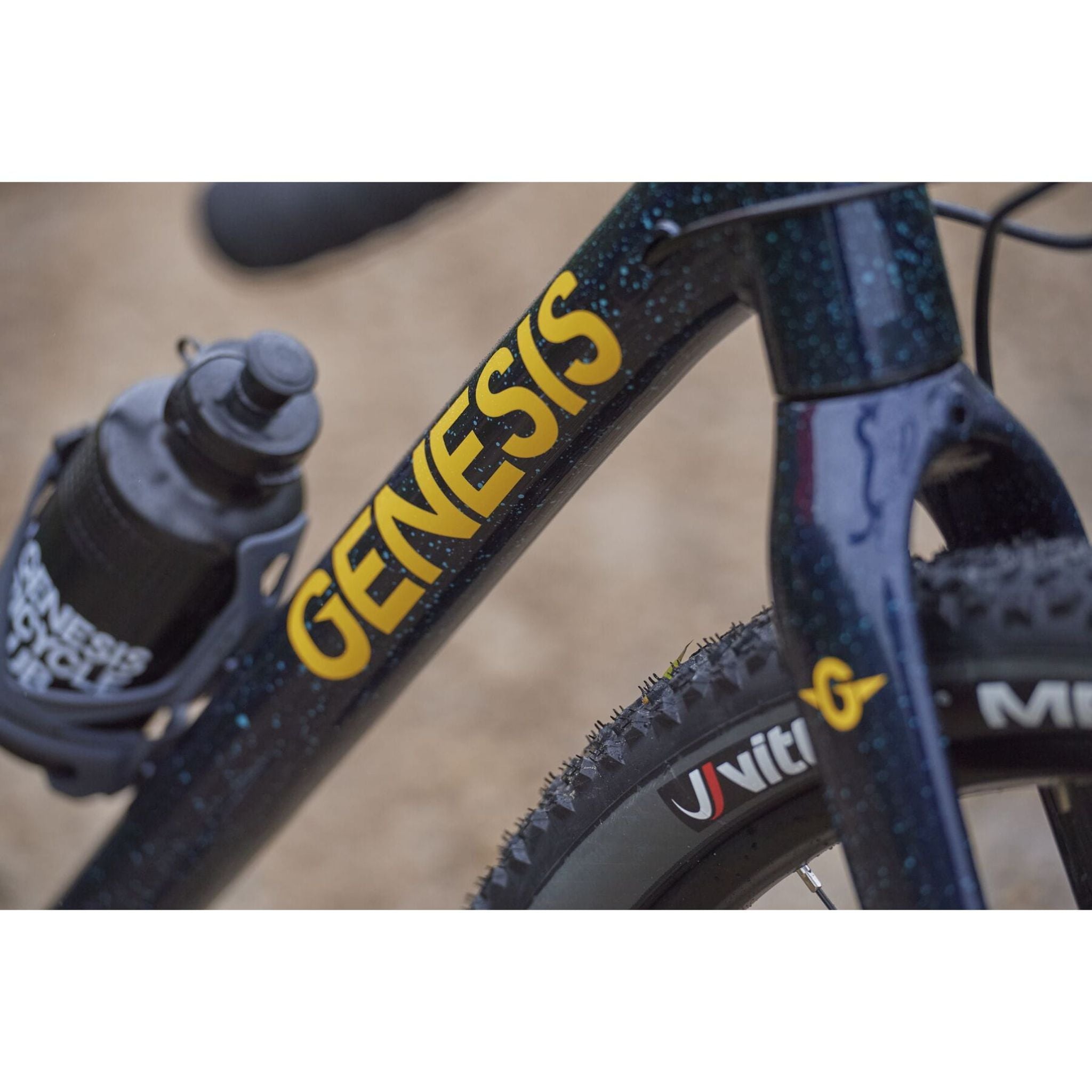 Genesis Fugio 30 2025