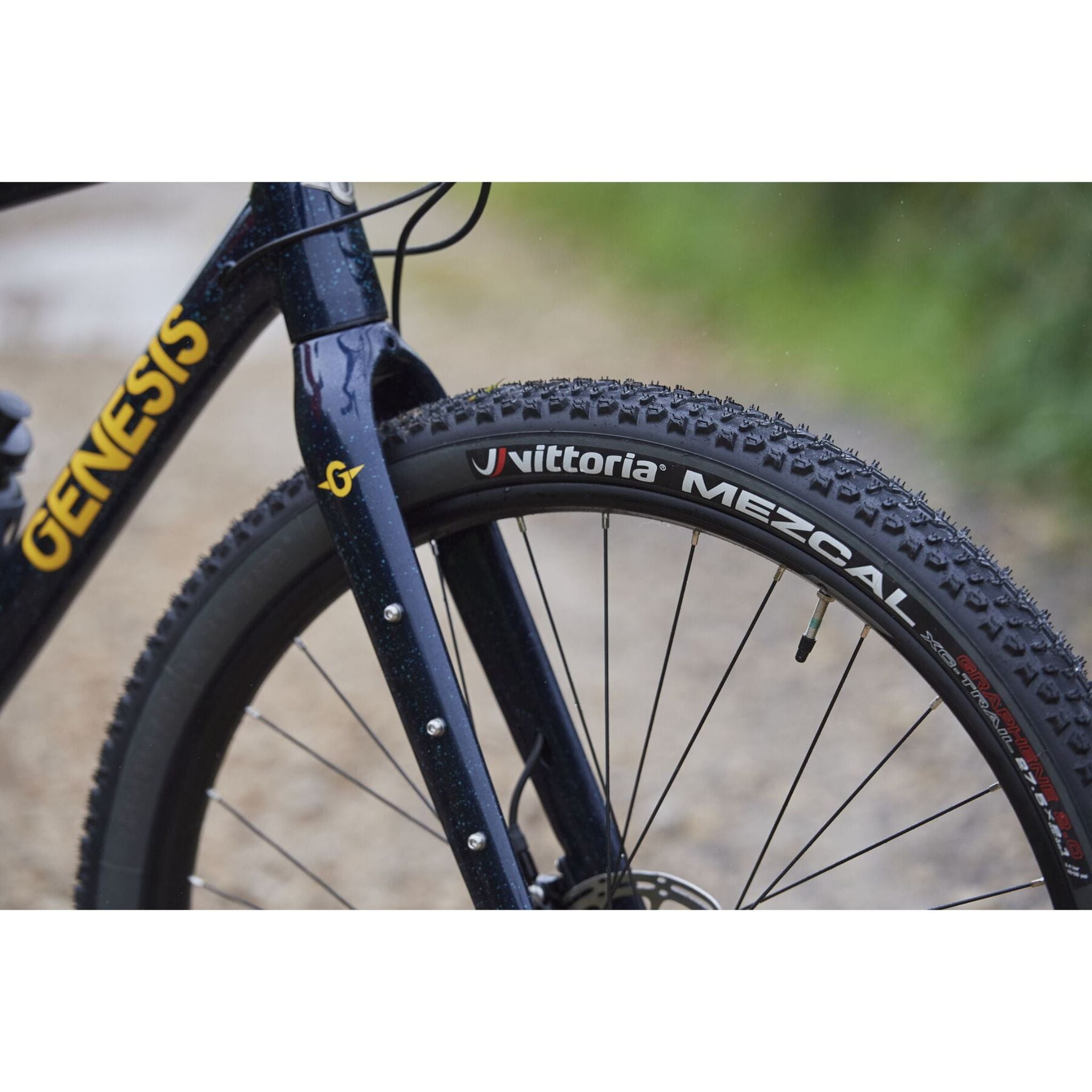 Genesis Fugio 30 2025