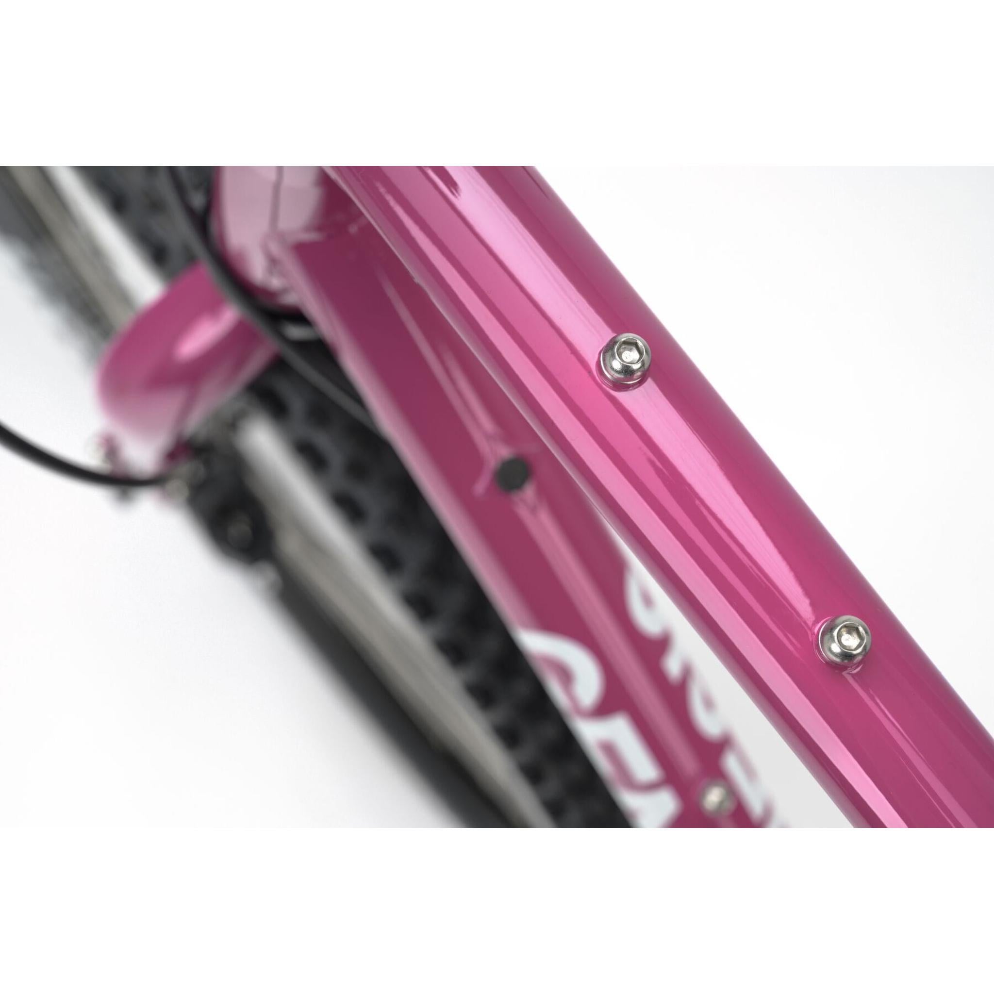 Genesis Vagabond 20 2025