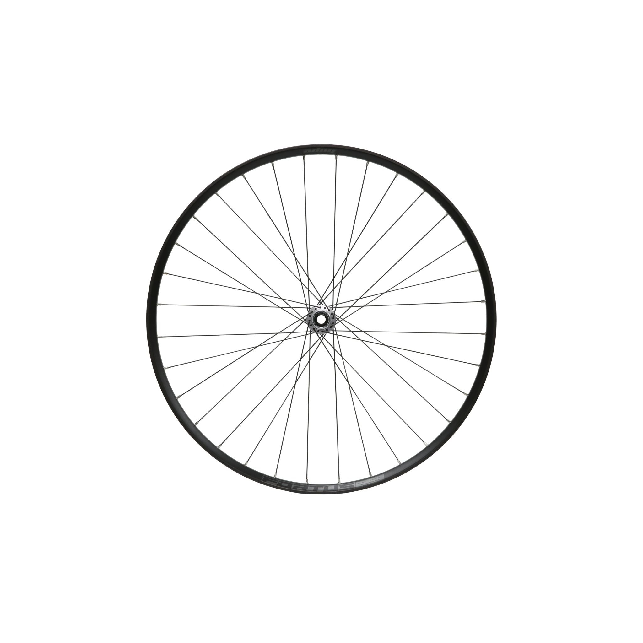 Hope Fortus 23W Pro 5 Silver Front Wheel Silver / 29 - Centre Lock / 100 x 15mm