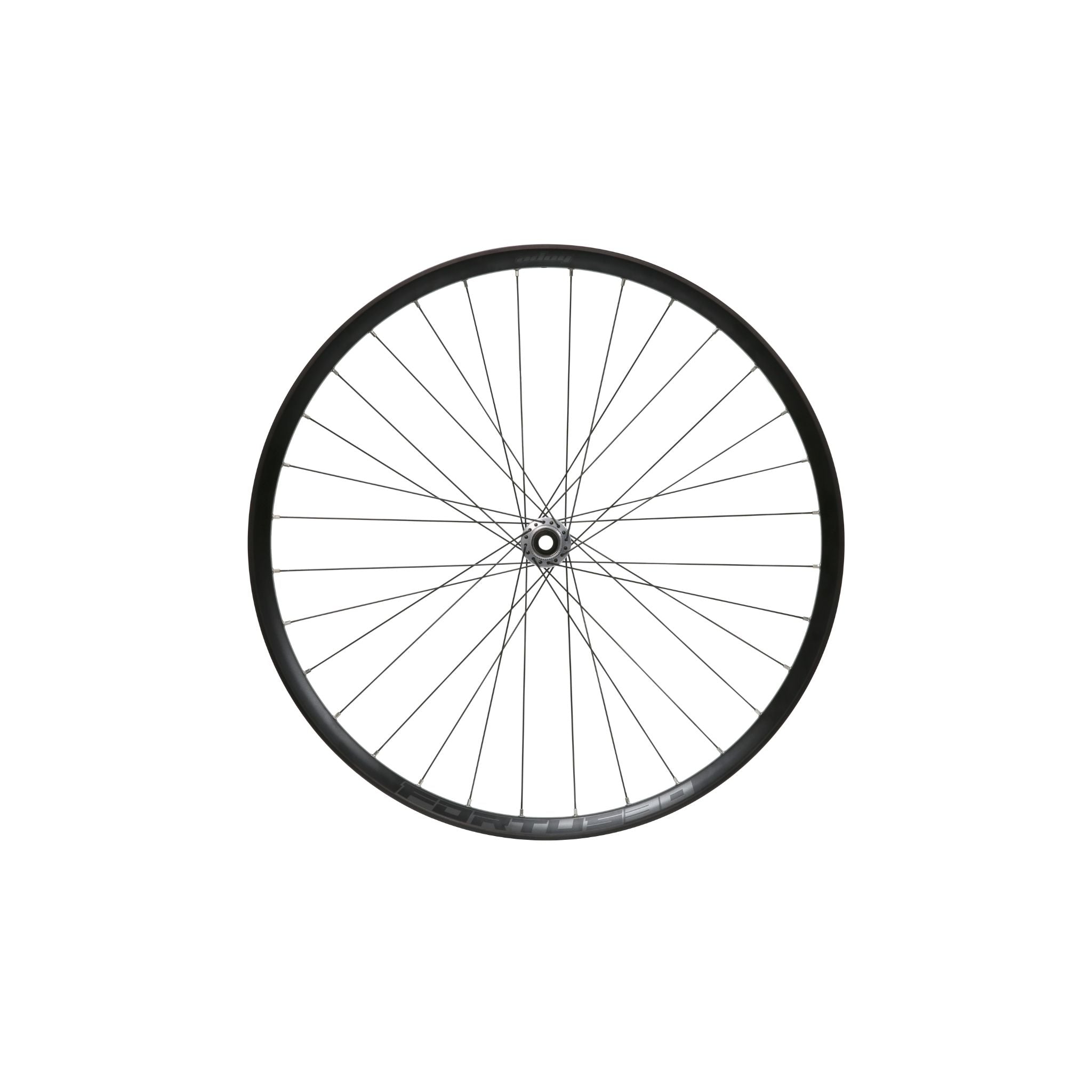 Hope Fortus 30W Pro 5 Silver Front Wheel Silver / 26 - 6-Bolt / 100 x 15mm