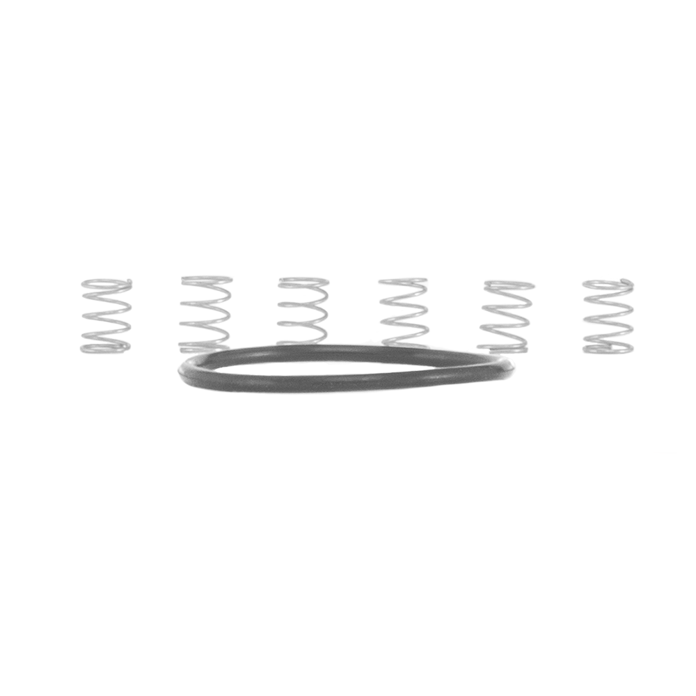 Industry Nine Torch Pawl Spring Kit Silver