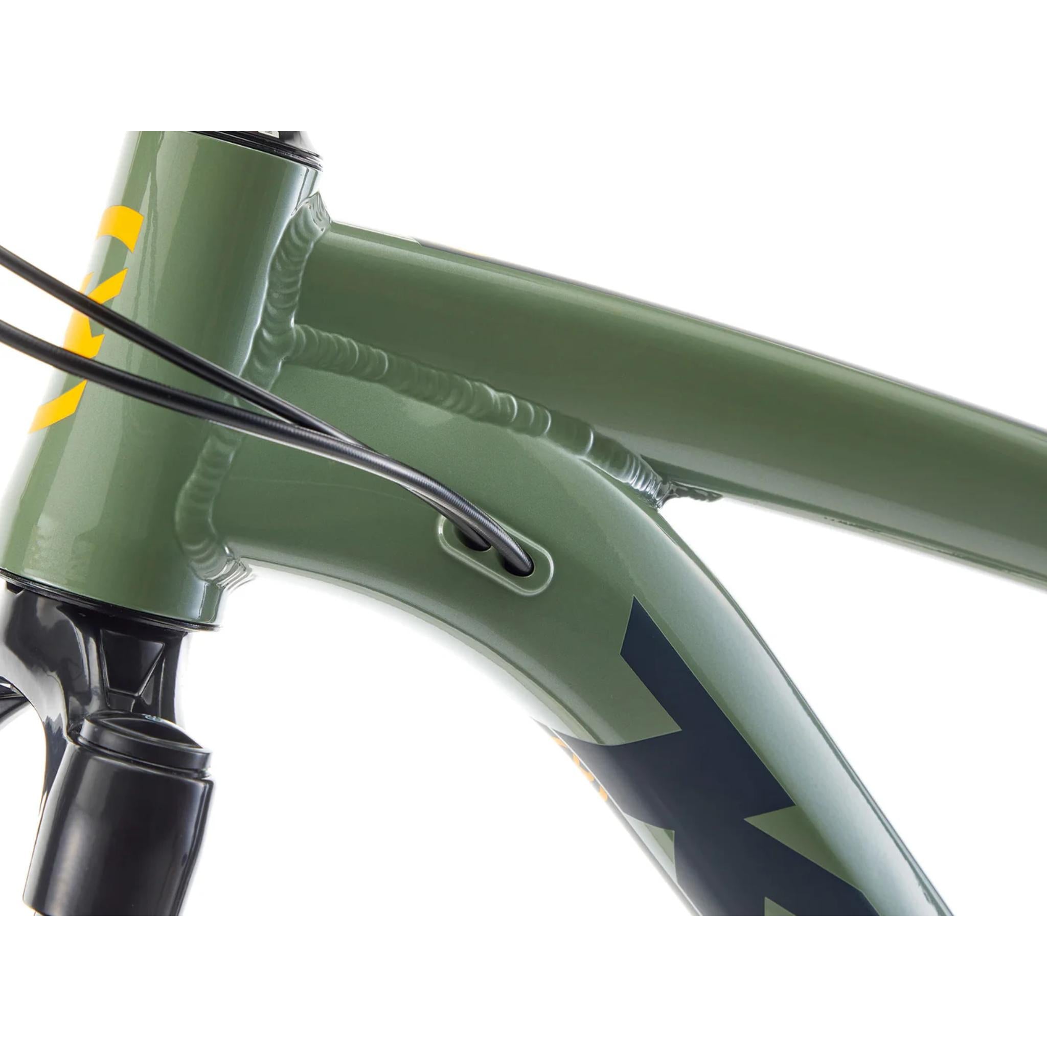 Kona Cinder Cone 2025