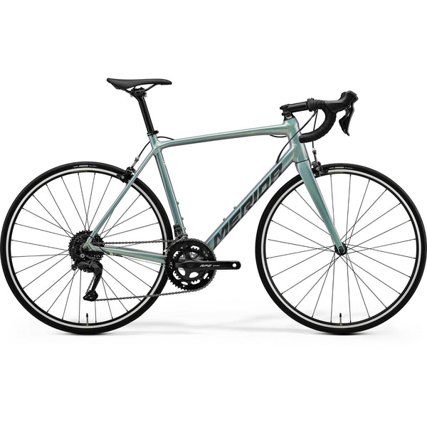 merida-scultura-rim-100-2026-