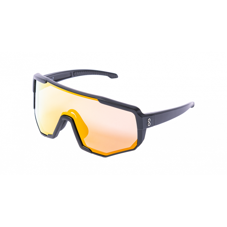 Nita 2 Glasses Black / Gold + Clear
