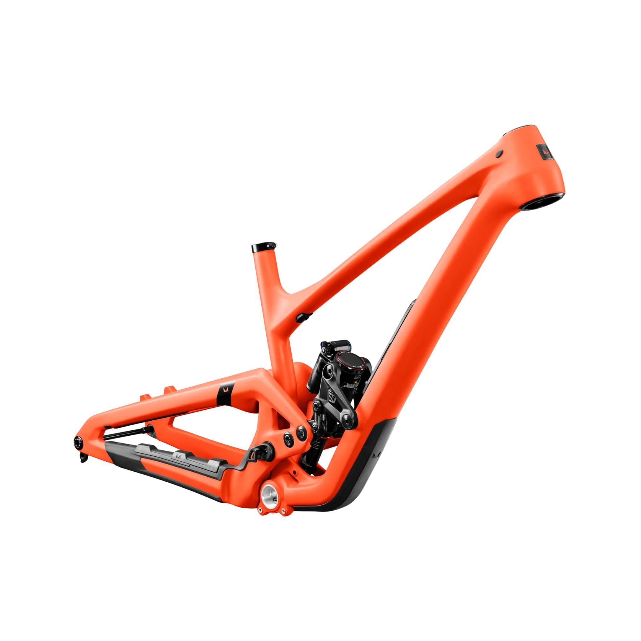 Offering Frame Tropic Thunder / L / SuperDeluxe