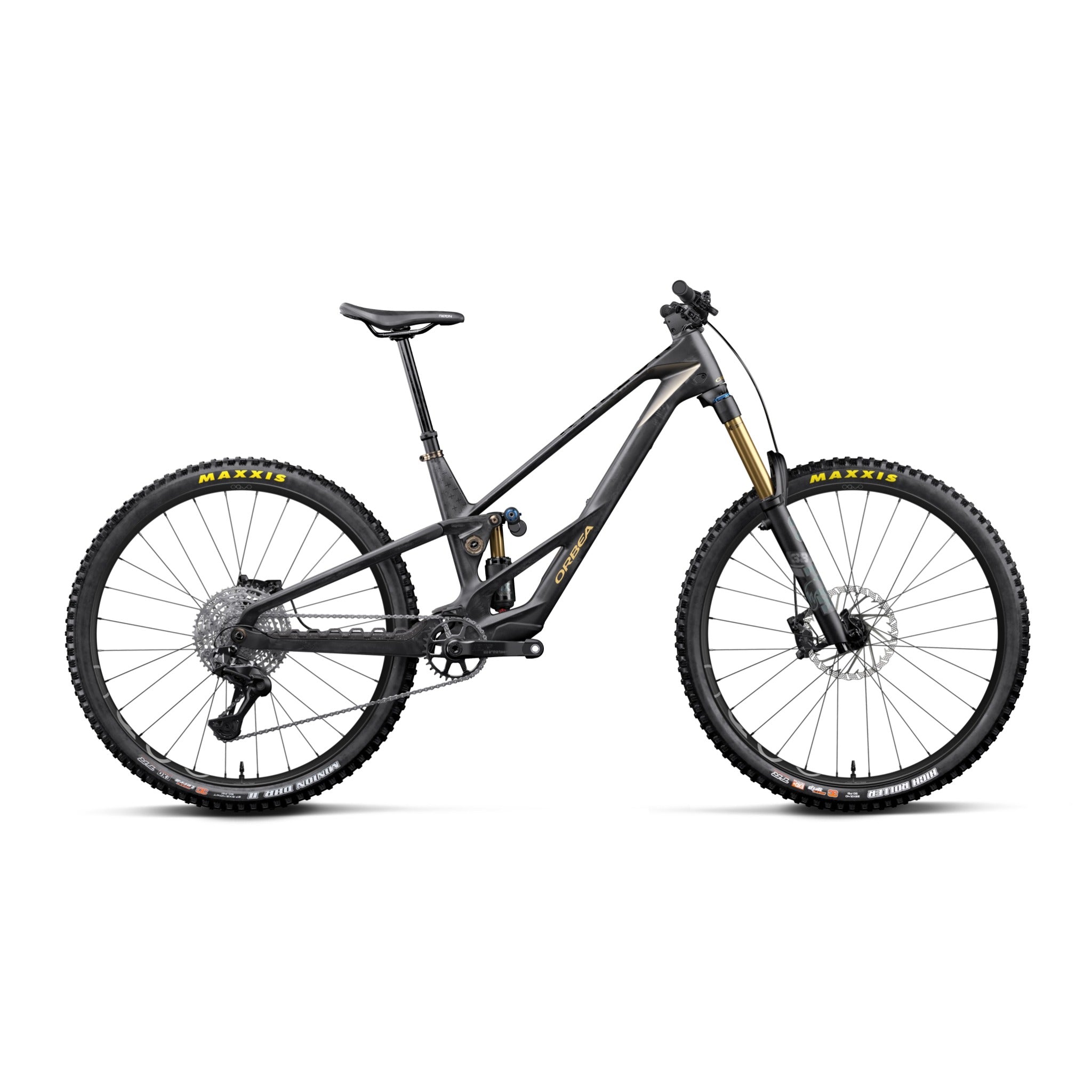 Rallon RS-Team 2027 Fuel Carbon View - Magic Gold (Matt) / S