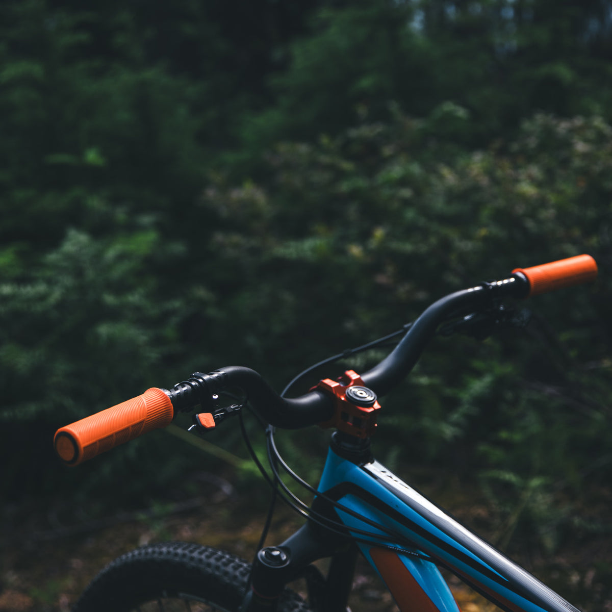 Range Grips