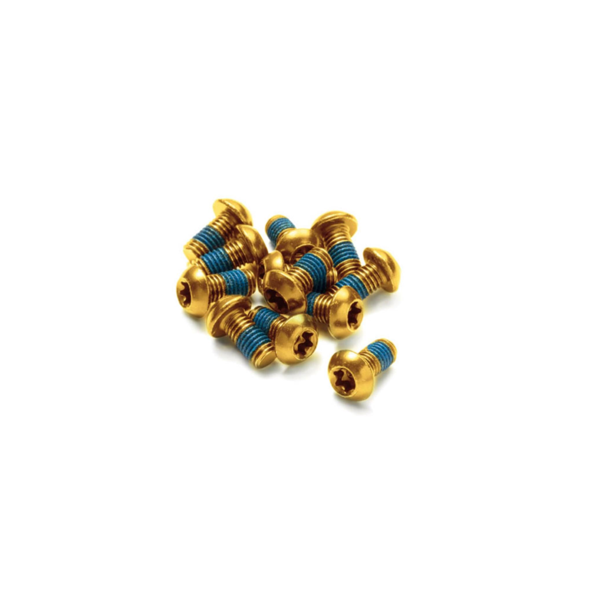 Reverse Disc Brake Rotor Bolt Set (12pcs) Gold