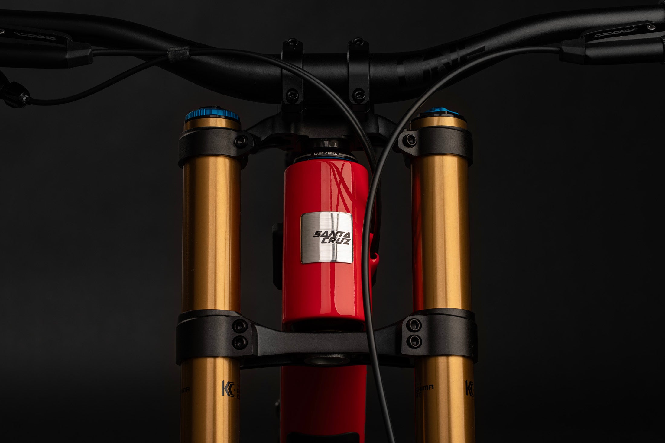 Santa Cruz V10 Carbon CC Frame