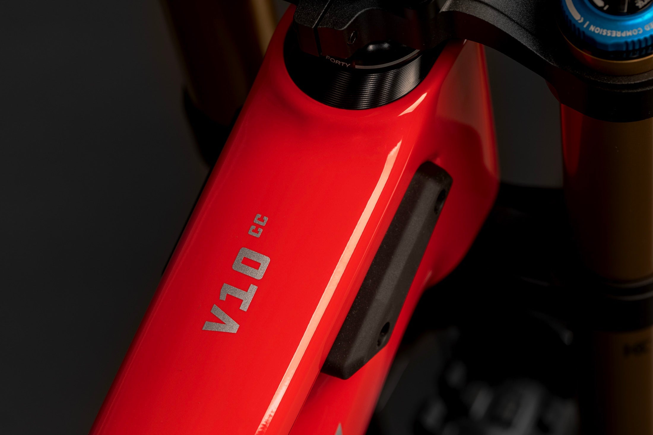 Santa Cruz V10 Carbon CC Frame