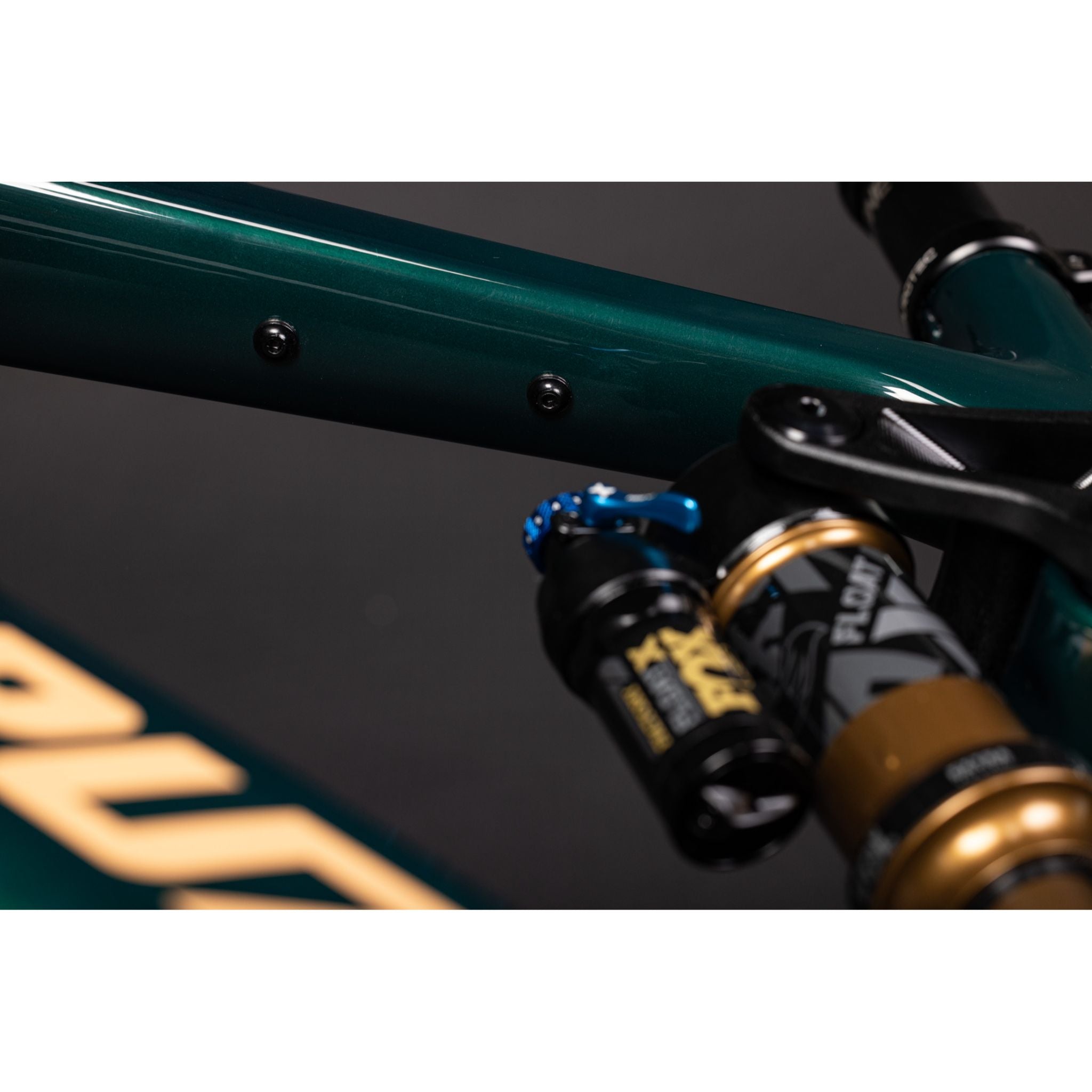 Santa Cruz Vala Carbon C 2025