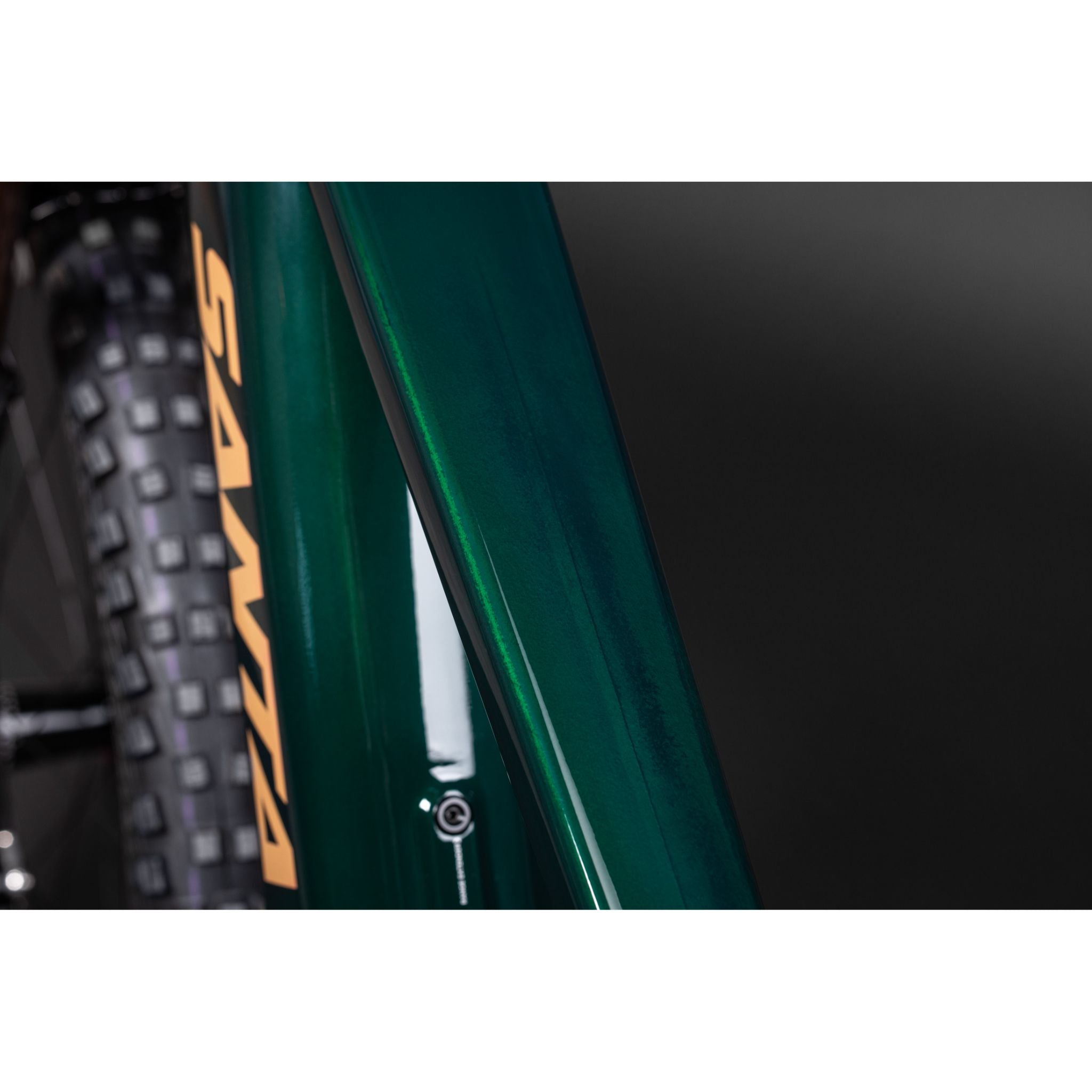 Santa Cruz Vala Carbon C 2025