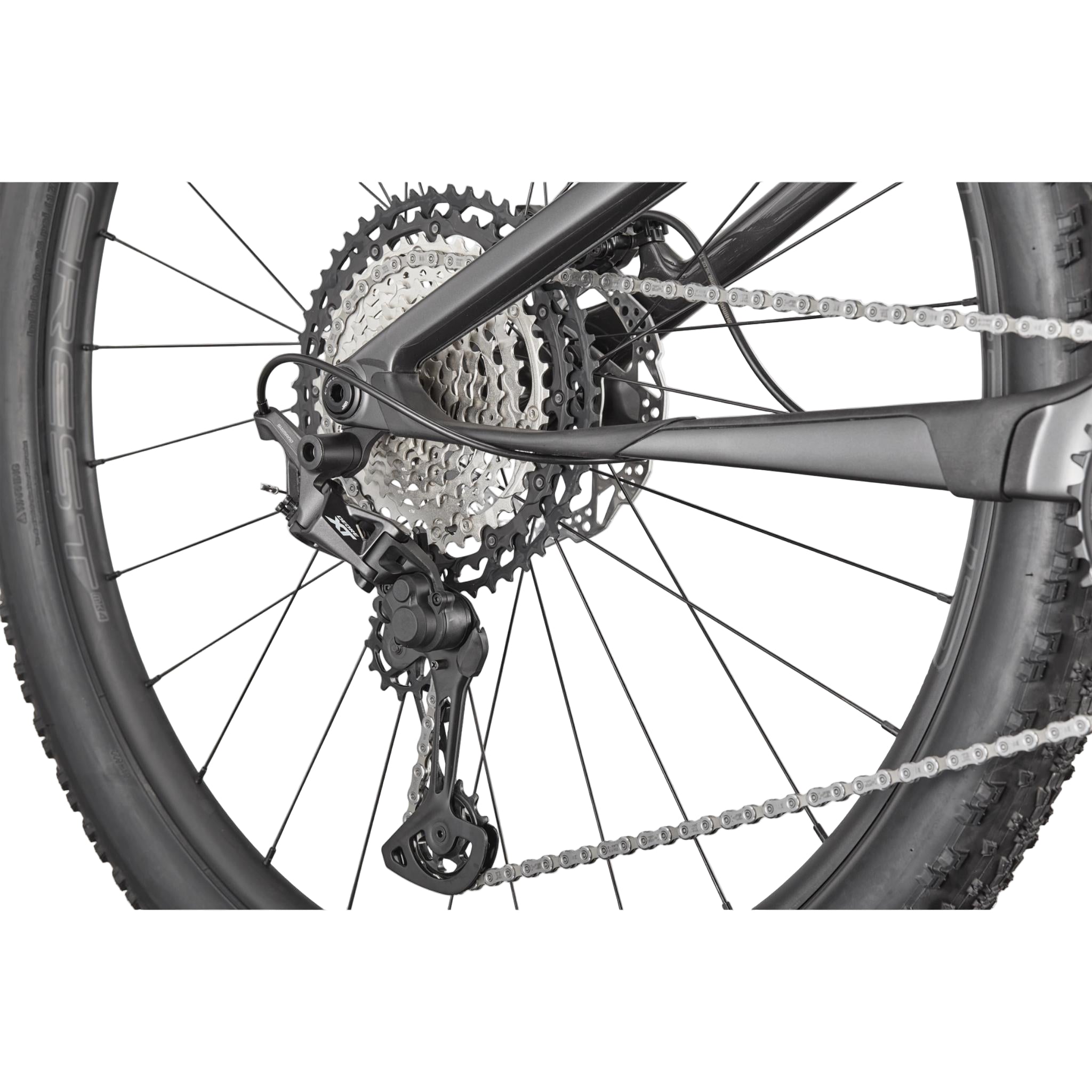 Scalpel Carbon 3 2025