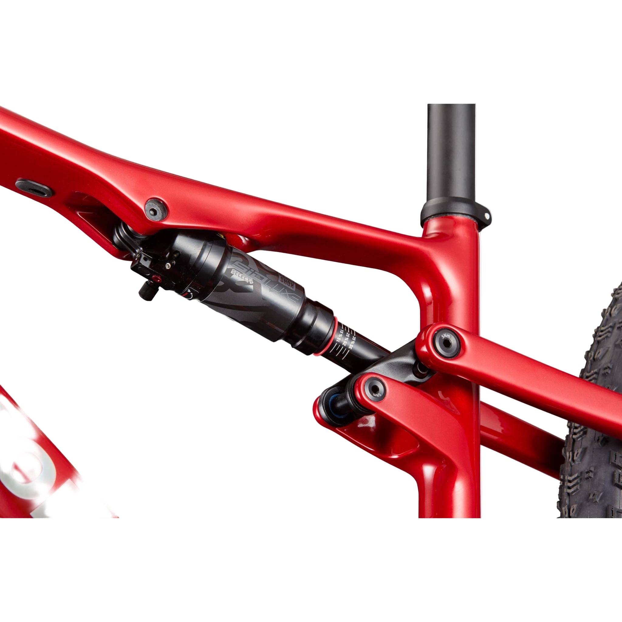 Scalpel Carbon 4 2025