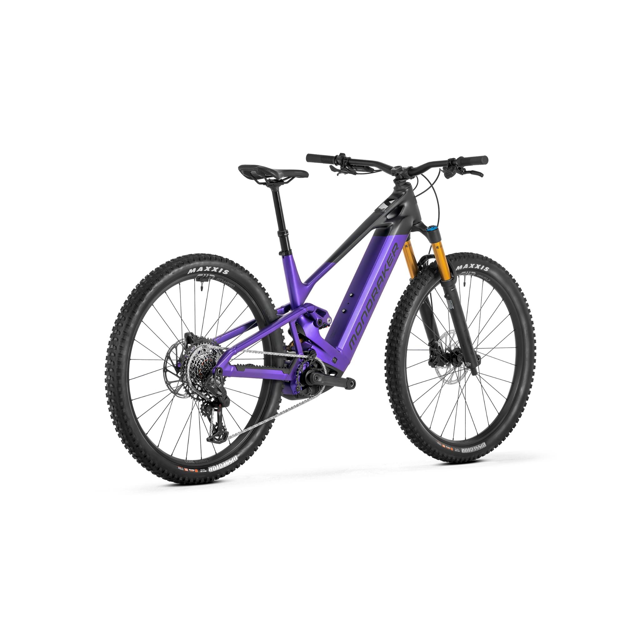 Scree RR 2026