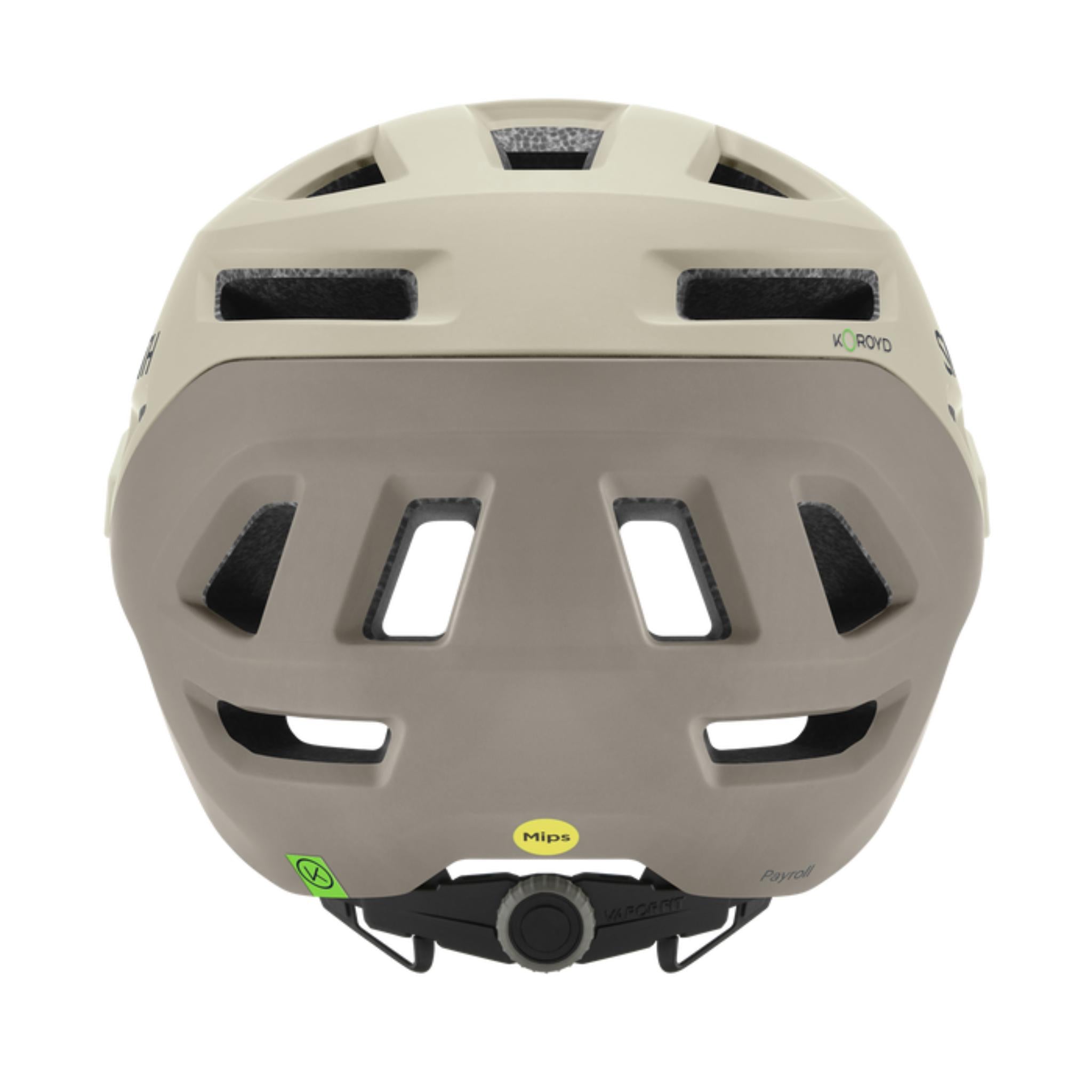Smith Payroll MIPS Helmet