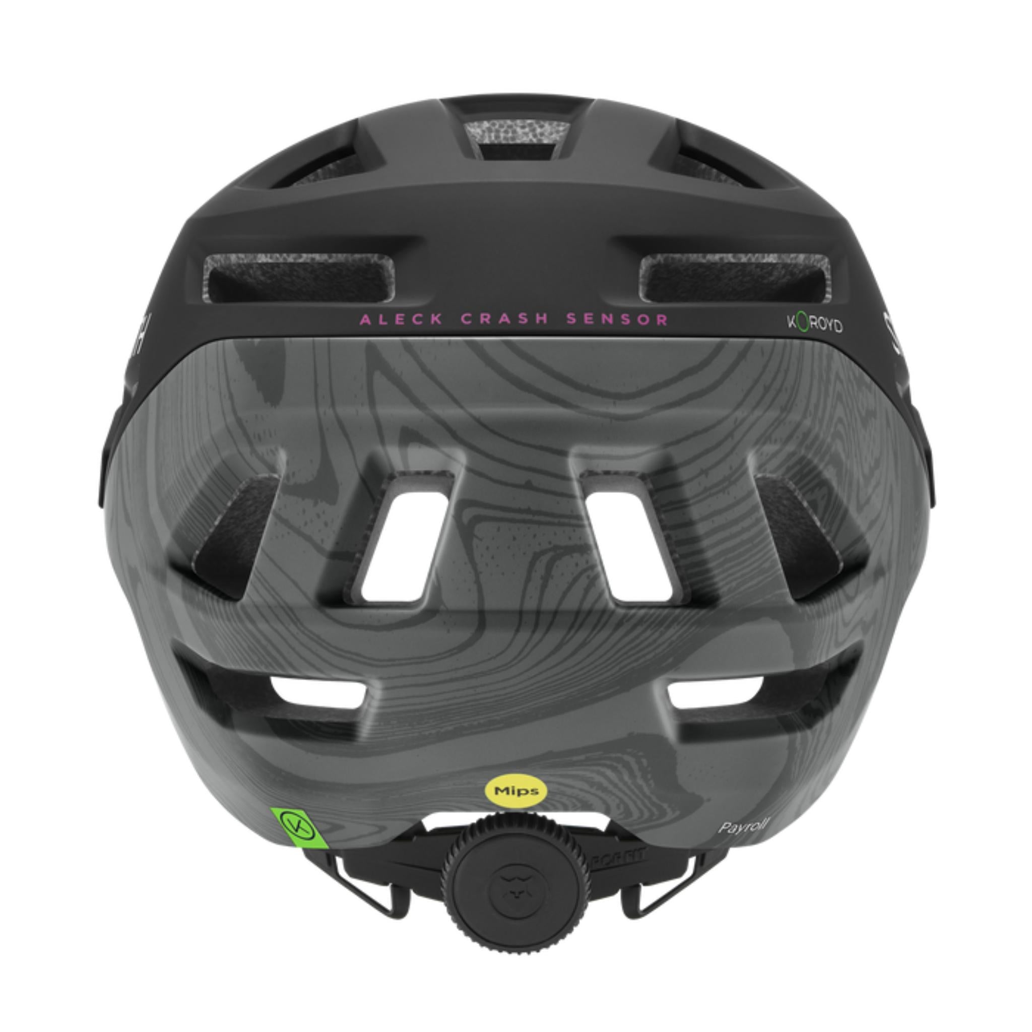 Smith Payroll MIPS Helmet