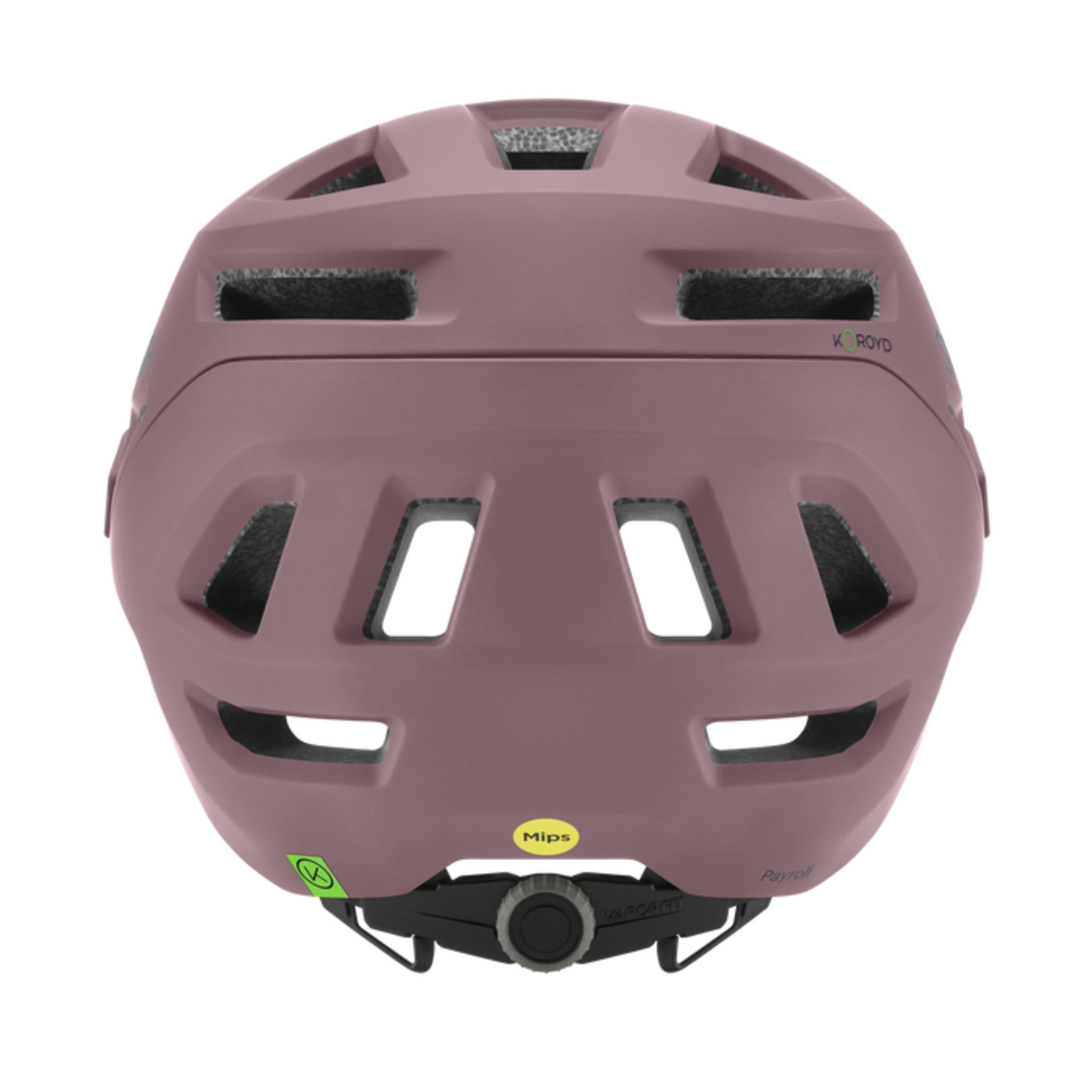 Smith Payroll MIPS Helmet