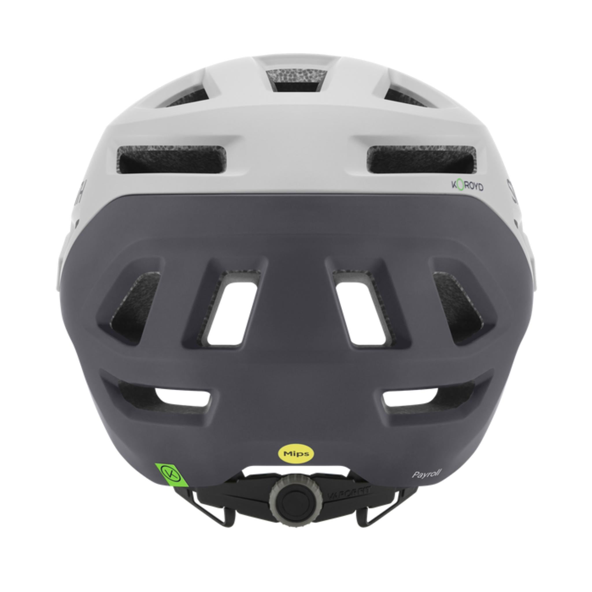 Smith Payroll MIPS Helmet