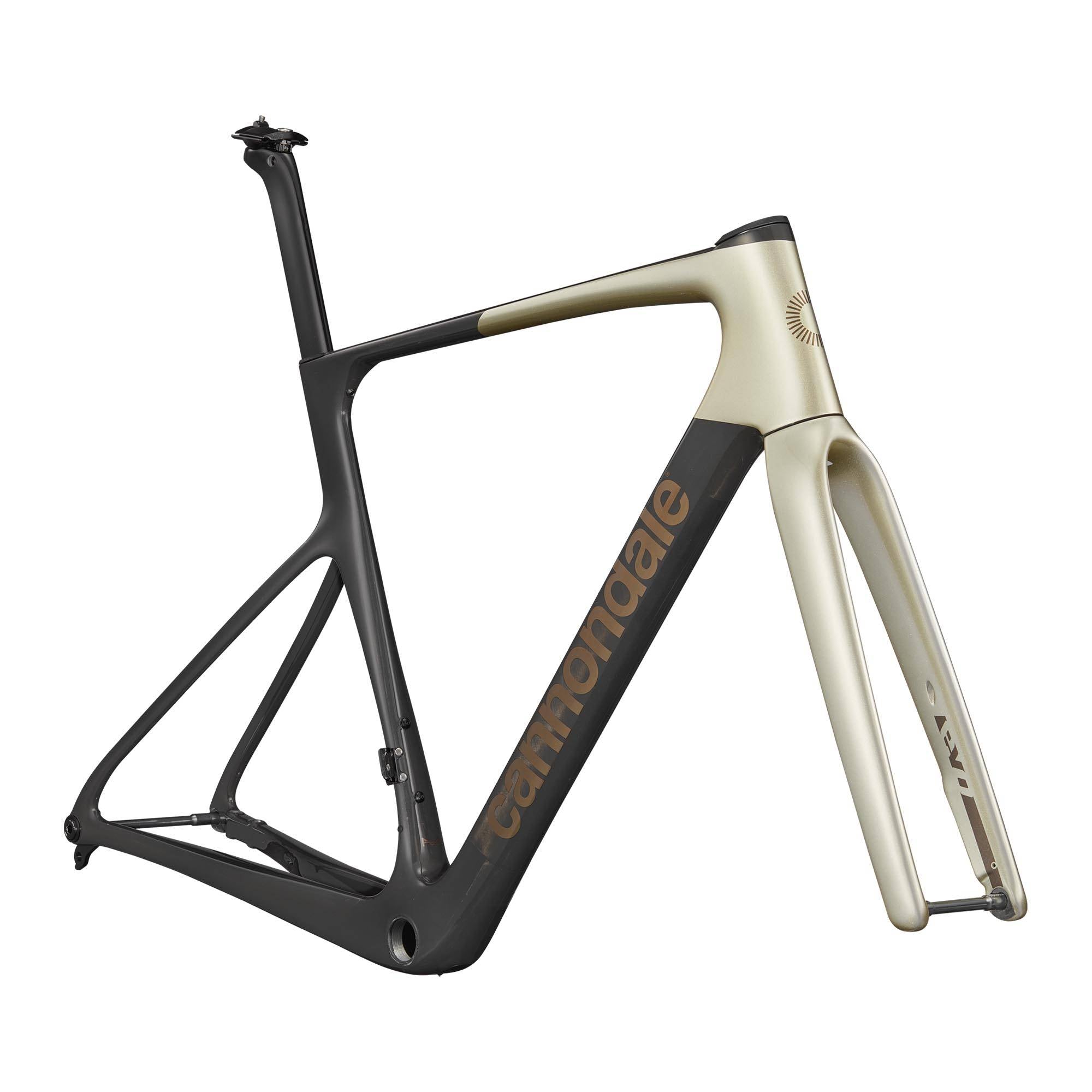 SuperSix EVO Hi-MOD Frameset 2026 Platinum / 44cm