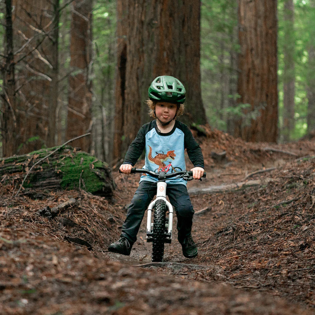 Kids Ride Shotgun DIrt Hero Balance Bike