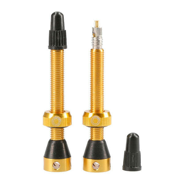 Tubolight Tubeless Valves Gold / 50mm / Alloy