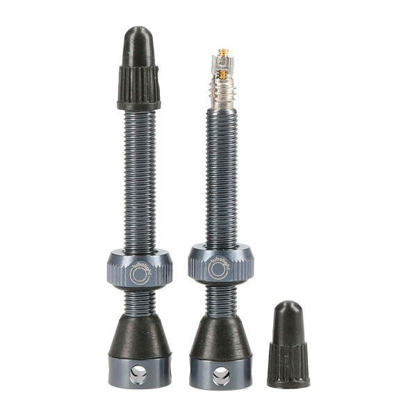 Tubolight Tubeless Valves Grey / 50mm / Alloy