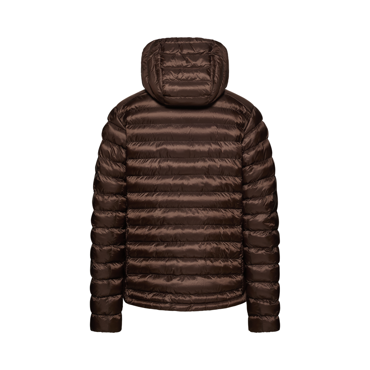 Women's Coalesce Jacket