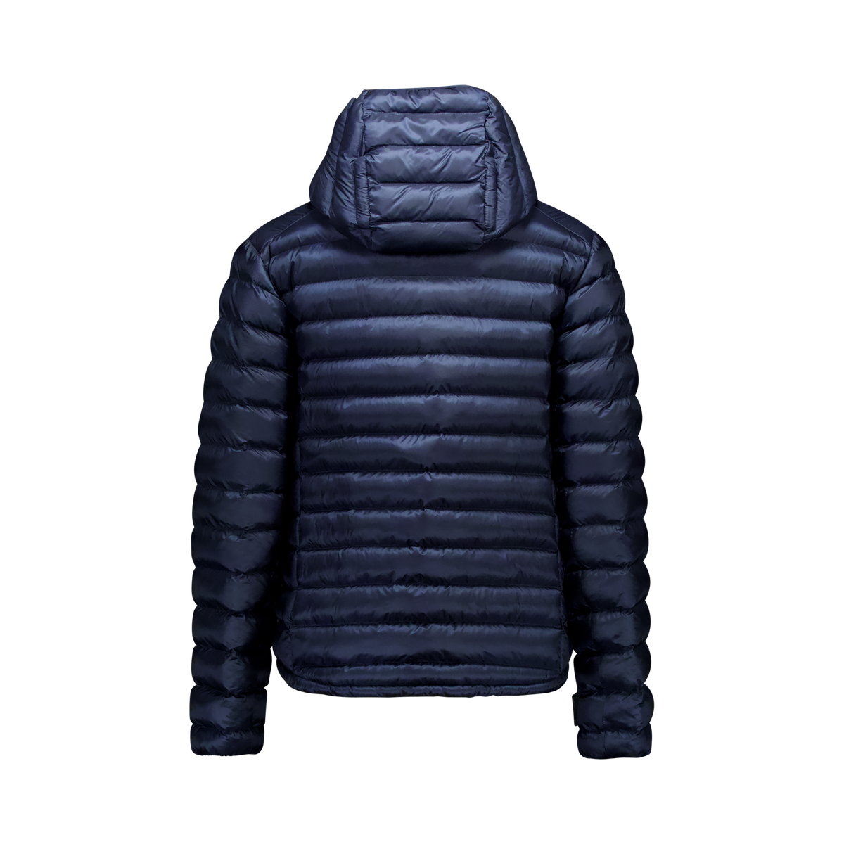 Women's Coalesce Jacket
