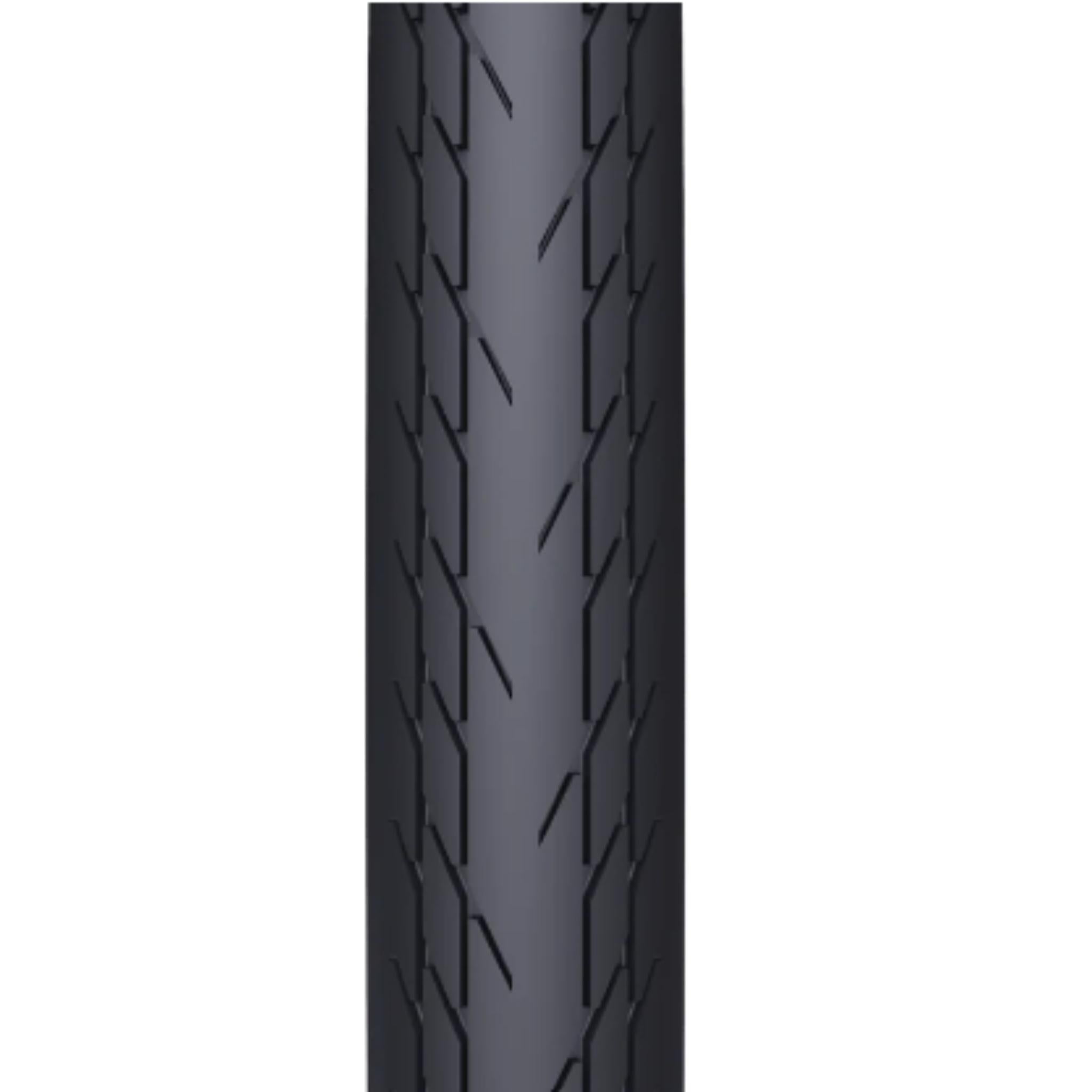 WTB Slick Tyre Black / 29 x 2.2