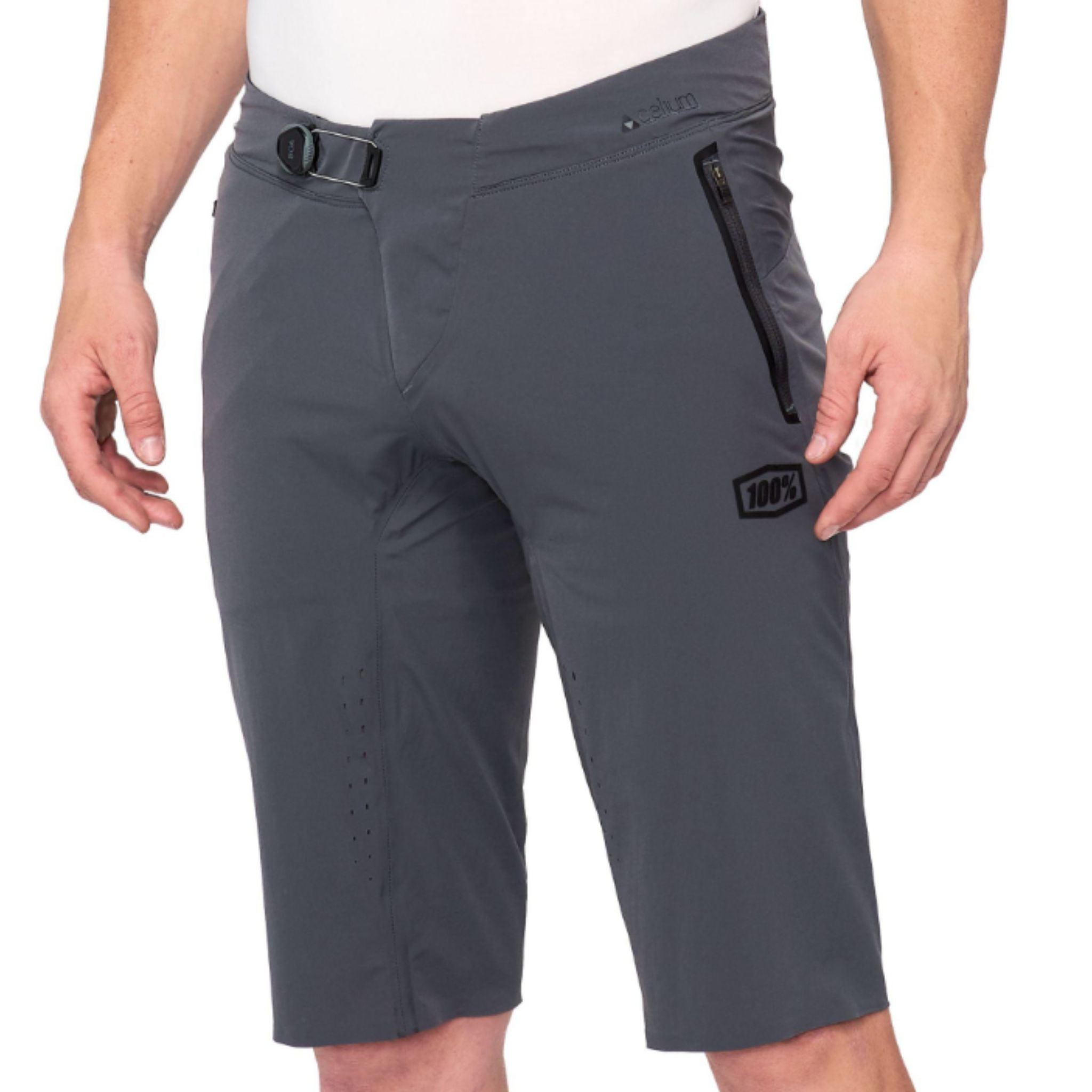 100% Celium Shorts Charcoal / 34