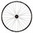 Stans Arch S1 Wheelset