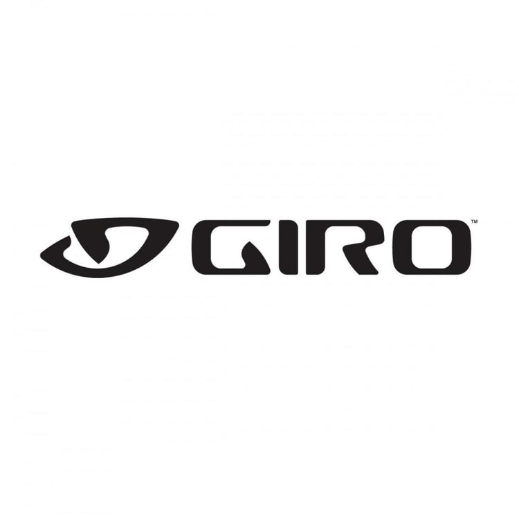 Giro Switchblade Camera Helmet Visor