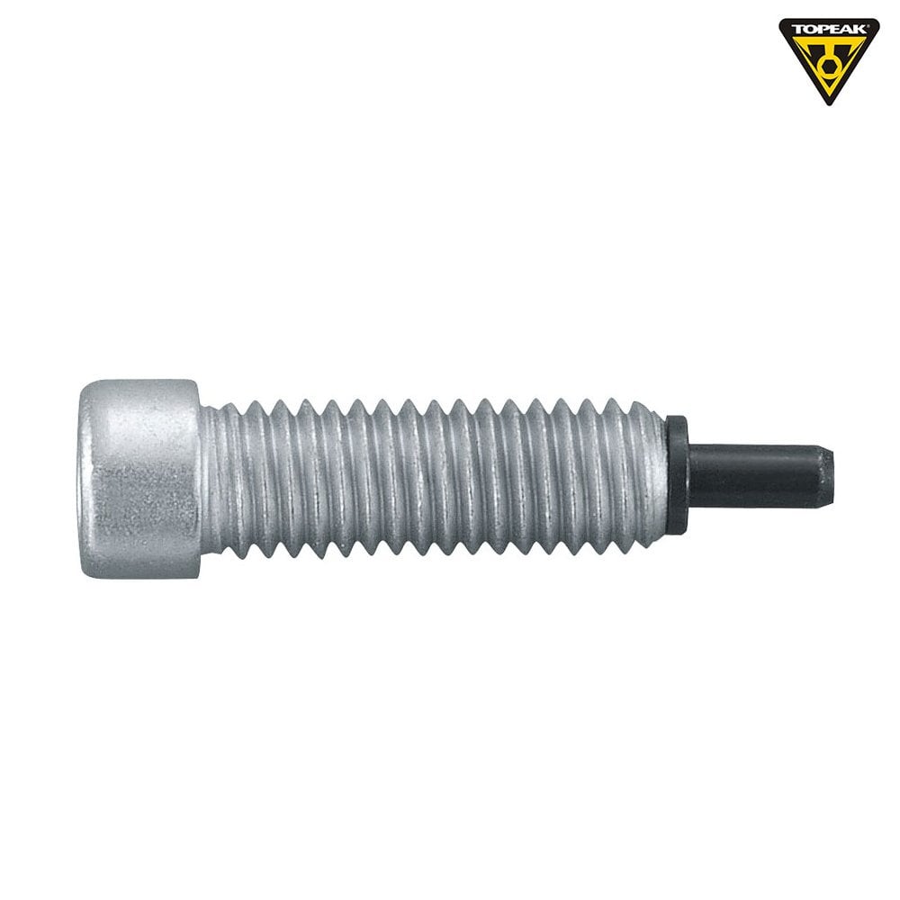 Topeak Chain Pin - P21/P16/Gearbox
