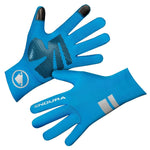 HiViz Blue