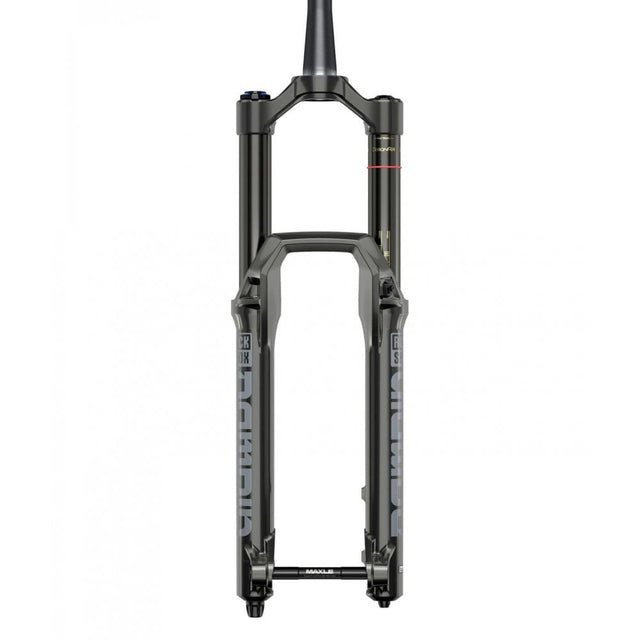 RockShox Domain RC Forks