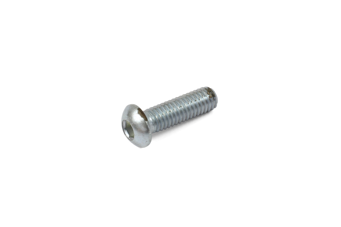 Hope M6 x 20 Dome Head Screw - Stainless Steel