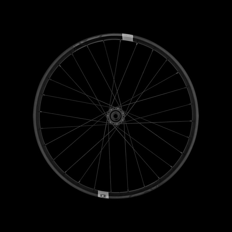 Synthesis Alloy E-MTB Front Wheel Black/Grey / 29 / Boost 110 x 15mm